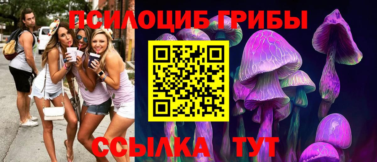 Галлюциногенные грибы мухоморы  Вход с VPN  Михайловск 